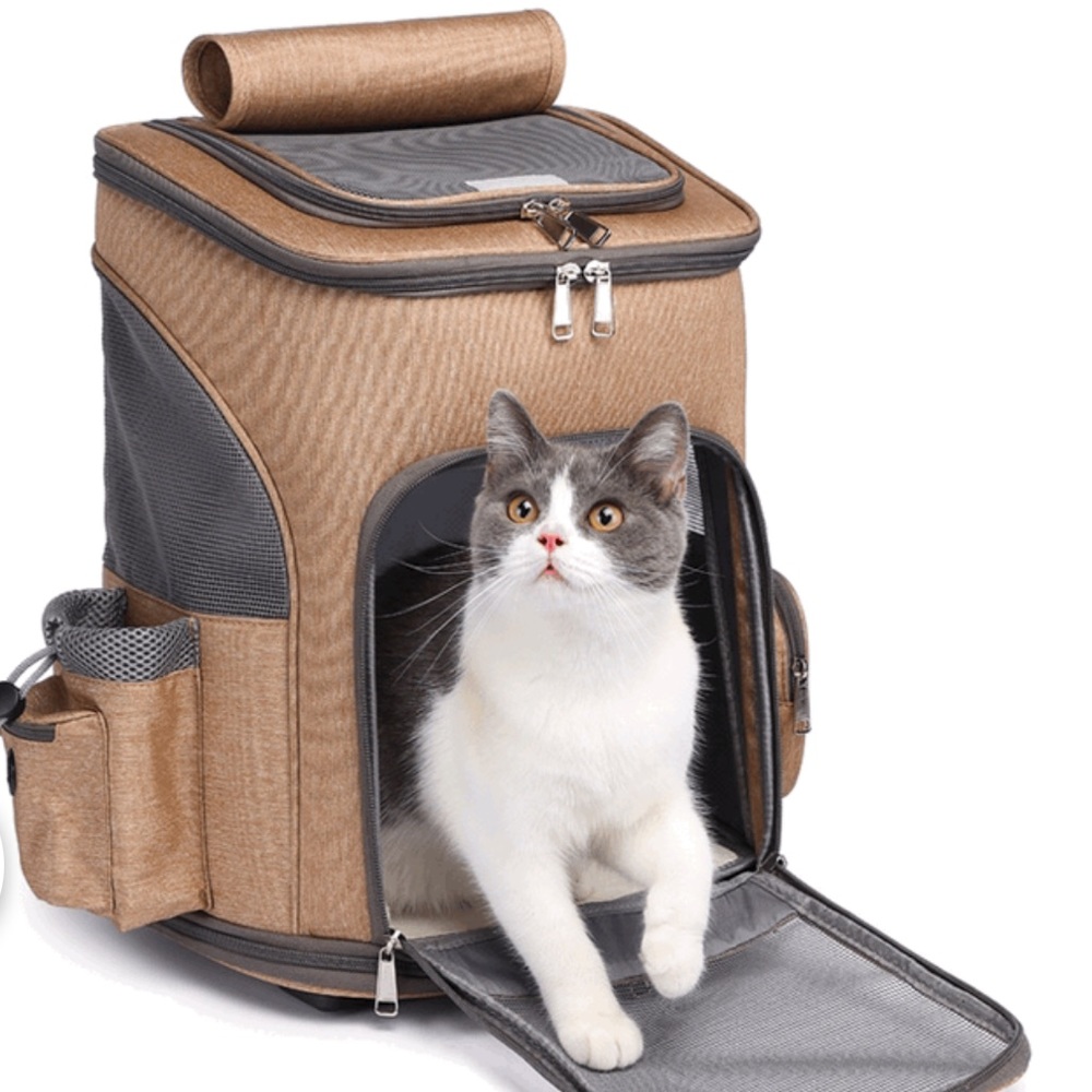 Pet Carrier